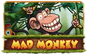 Mad Monkey H5